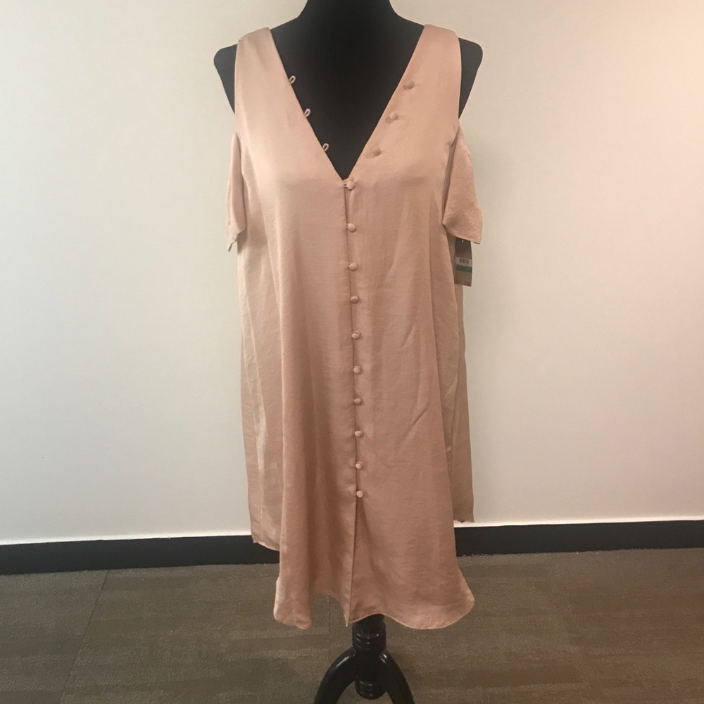 Rachel Roy Nude Pink Dress
